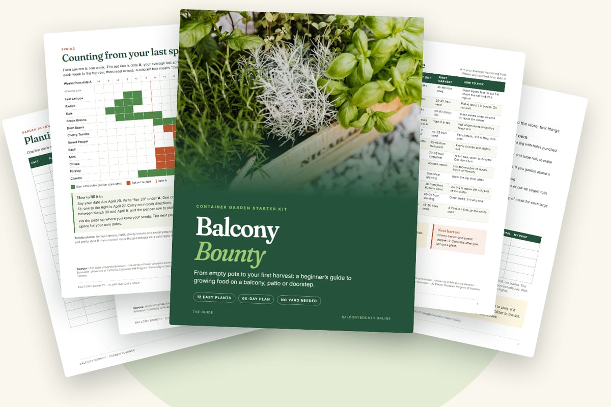 The six PDFs of the kit
